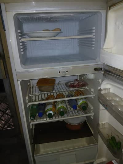 pel fridge