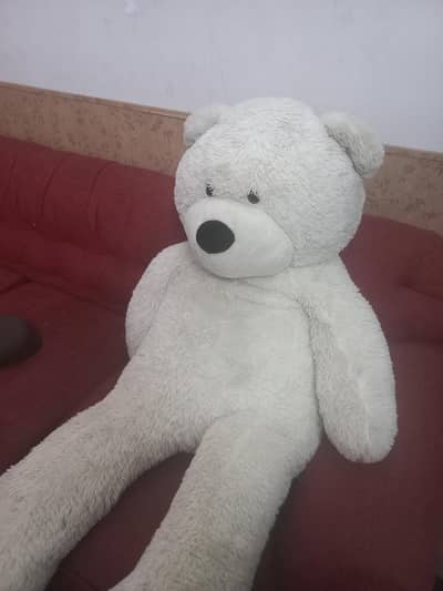 Teddy Bear