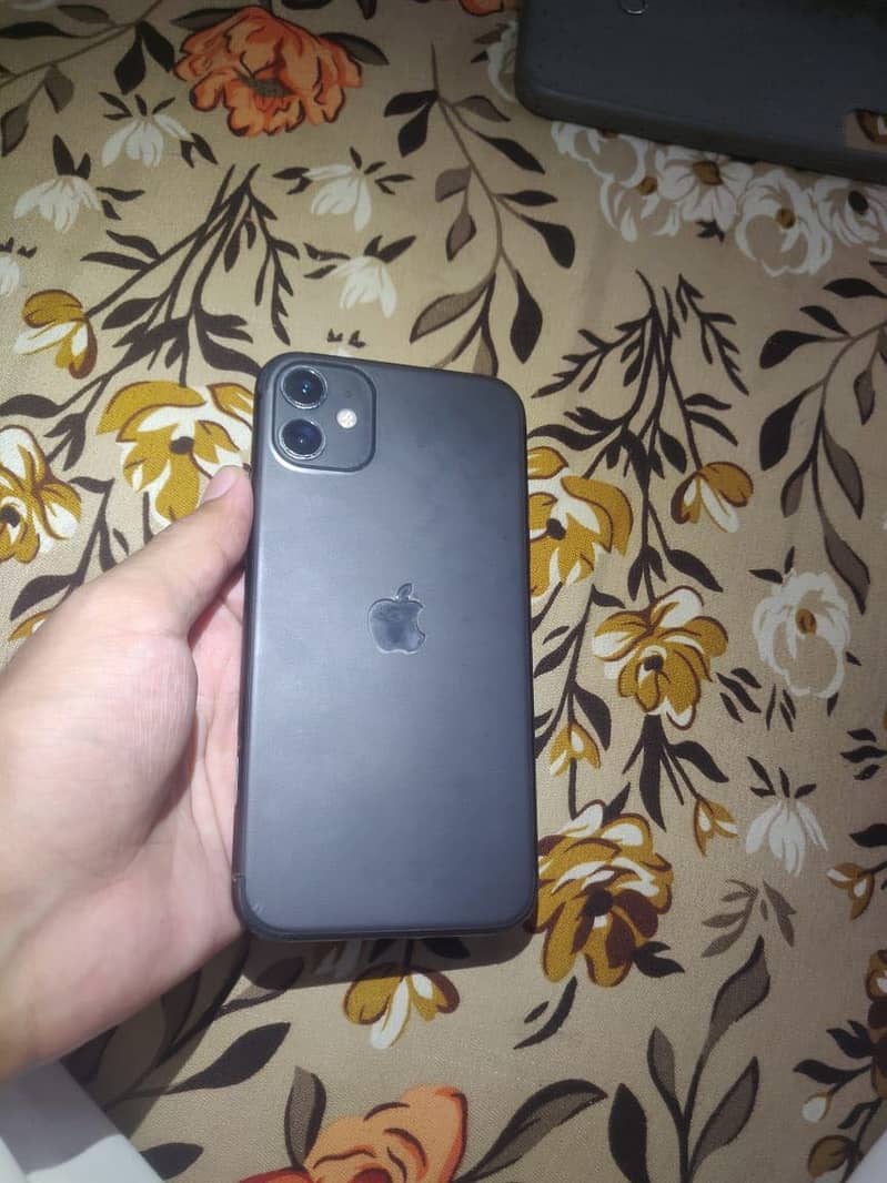 Apple iPhone 11 0