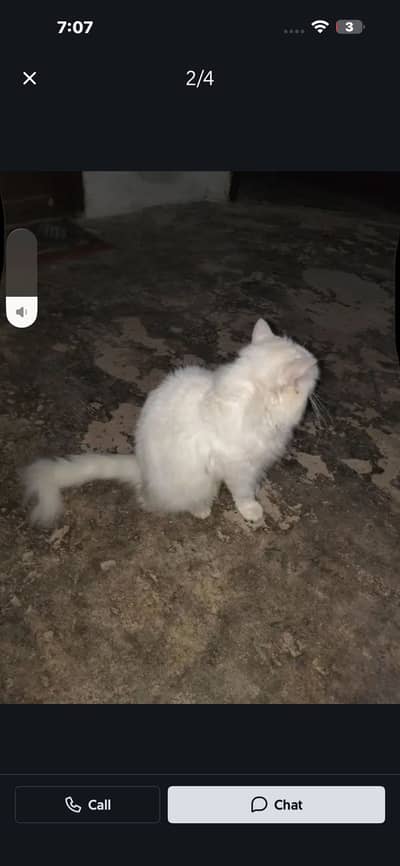 Cate hai pic mai dekh lo