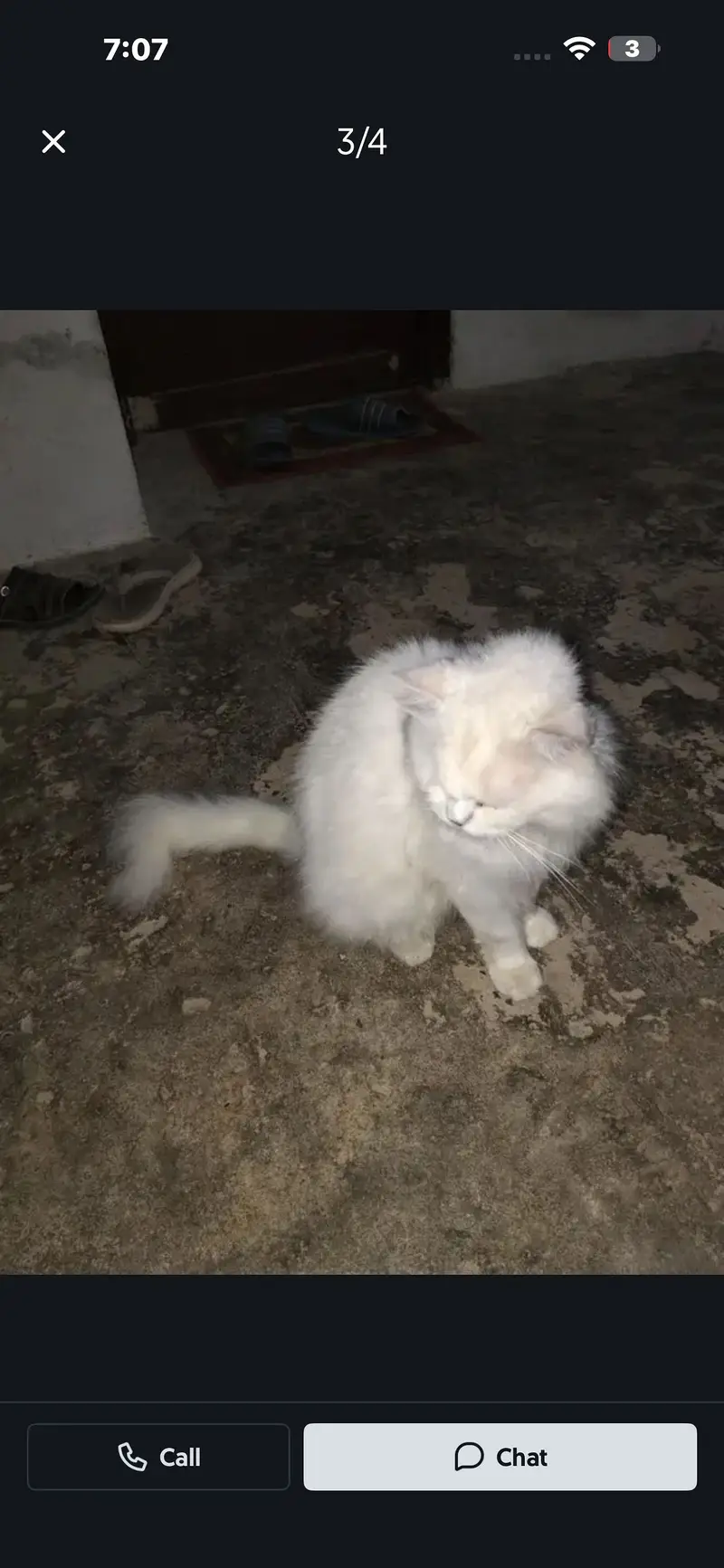 Cate hai pic mai dekh lo — photo 2