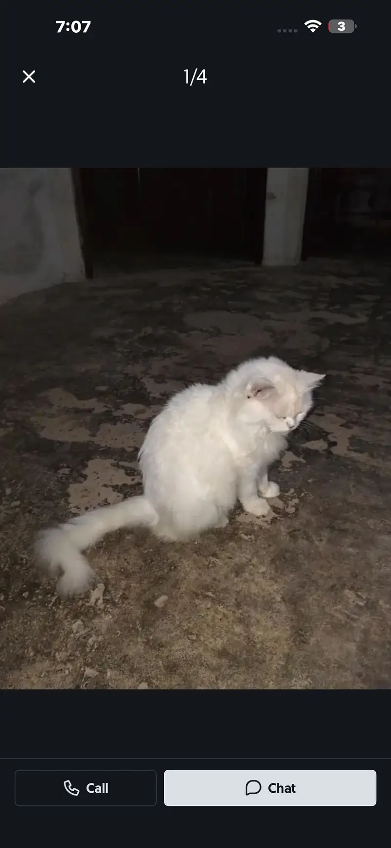 Cate hai pic mai dekh lo — photo 3