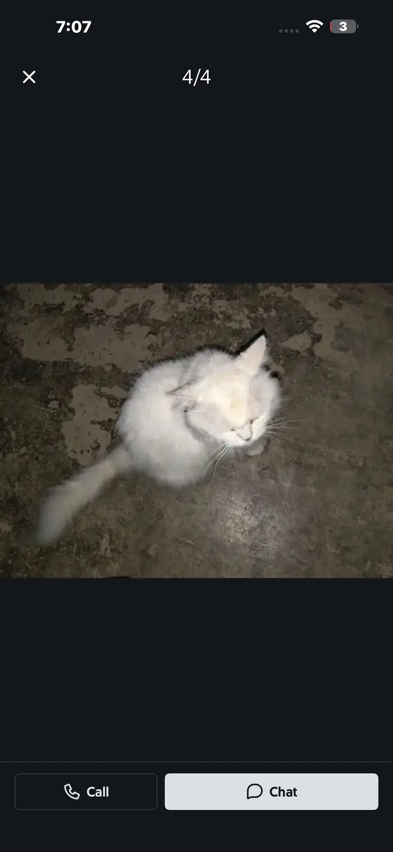 Cate hai pic mai dekh lo — photo 4