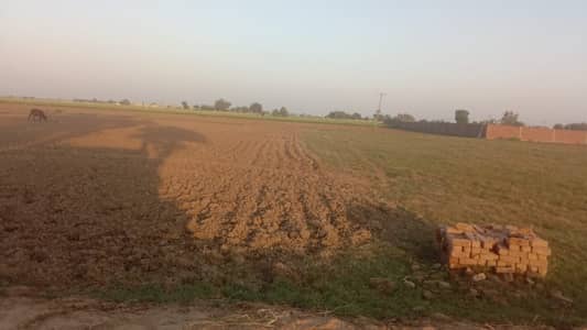 Pasrur Road Agriculture Land Available For Sale Invester Rate