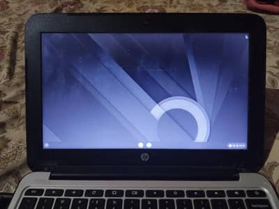 hp chrome book