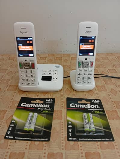 Dual Executive Cordless Phone SIEMENS GIGASET Color Display GERMAN