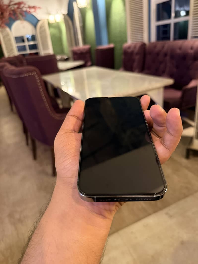 Apple iPhone 13 Pro Max 1