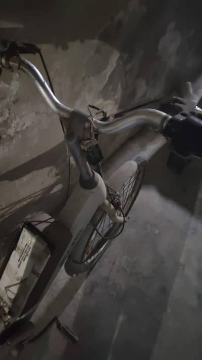 electric cycle