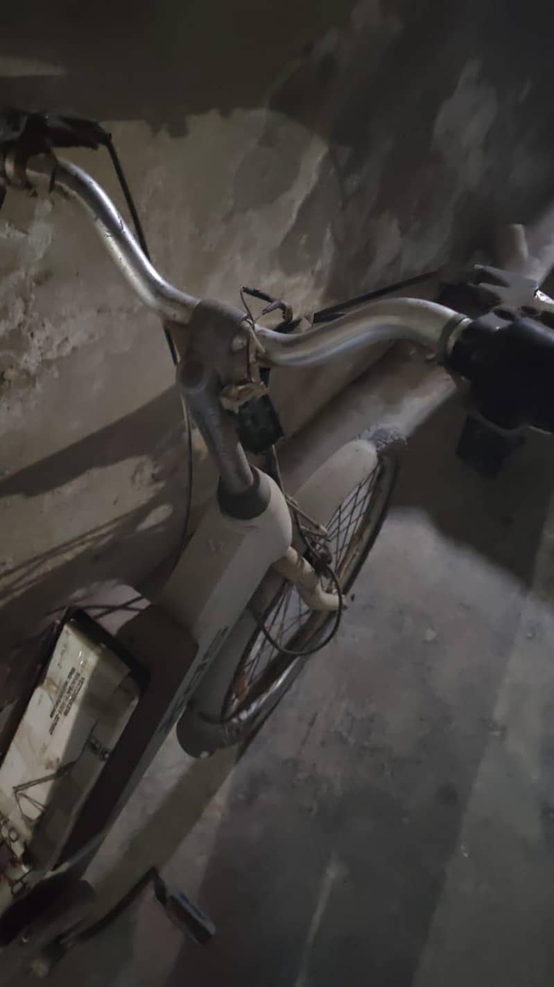 electric cycle 0