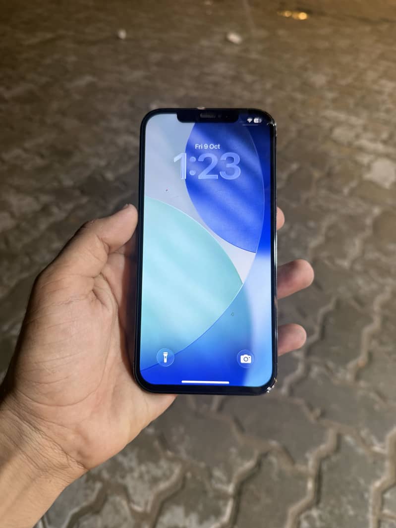 Apple iPhone 12 Pro Max 0