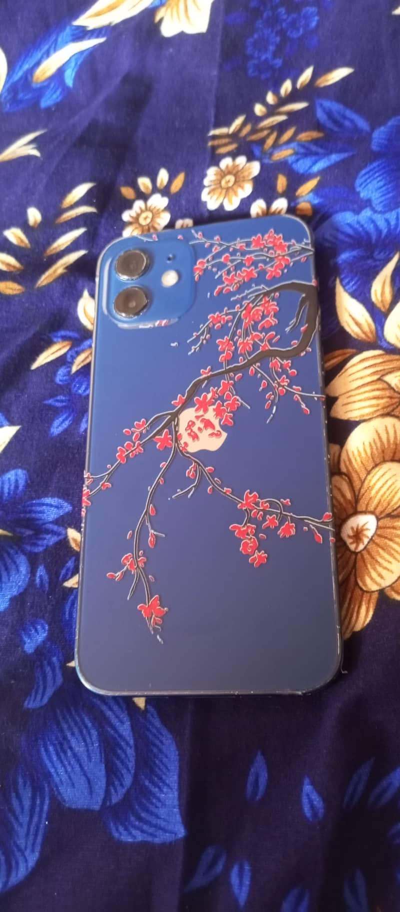 Apple iPhone 12 1