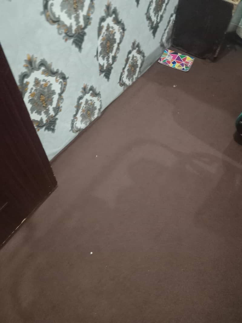 carpet good condition 1