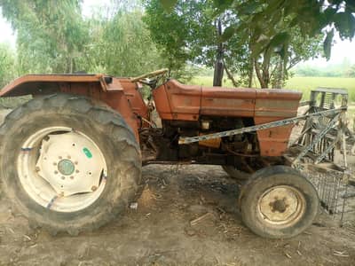 alghazi for sale