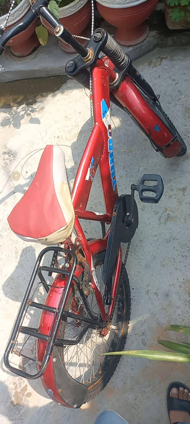 bicycles 1