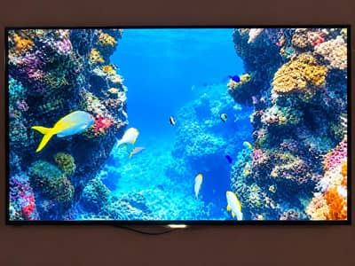 Android led 43" Inch