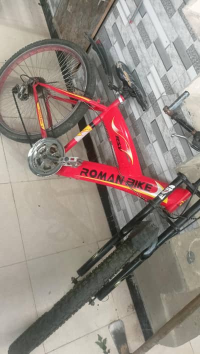 roman bike