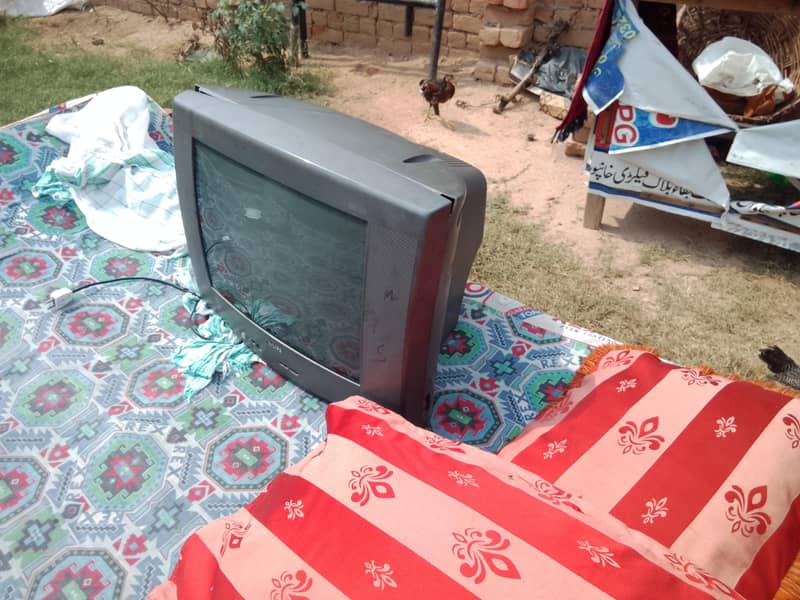 TV Full size 1