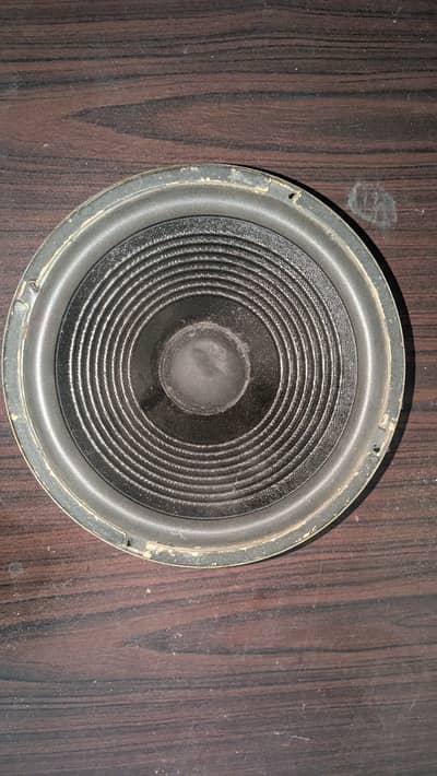 10 inch Woofer