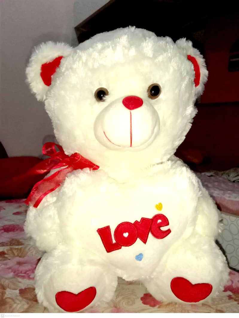 teddy bear 1