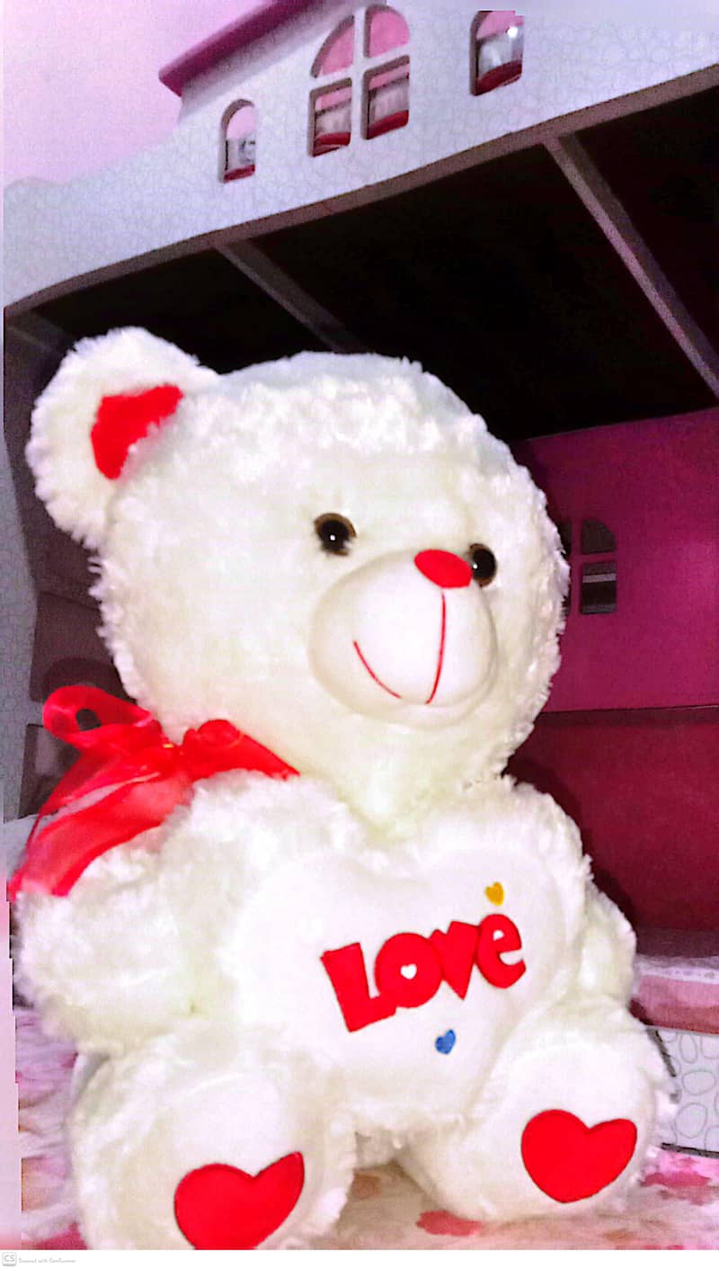 teddy bear 3