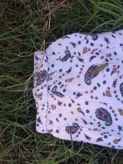 only 1 shirt