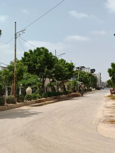 120 plot for sale Gulshan E roomi scheme 33 boundary wall project lesse and sweet water Available