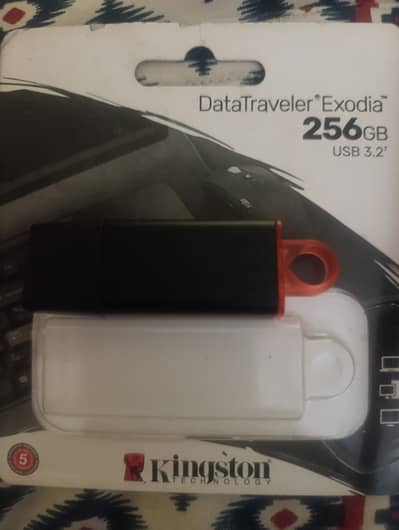 Usb flash 256 GB external storage only one time one day use