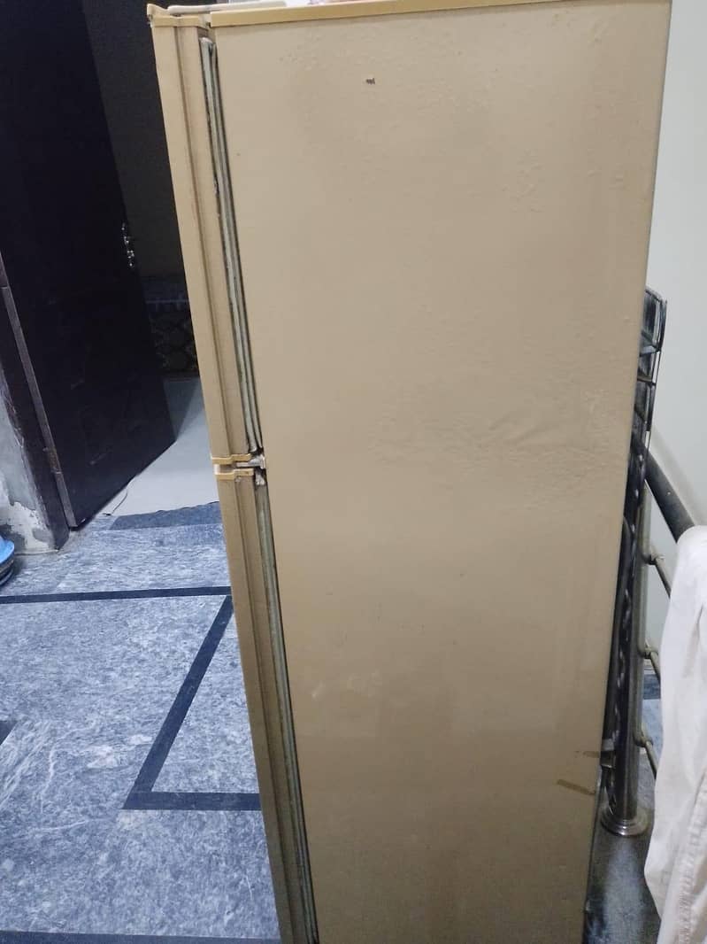fridge 2