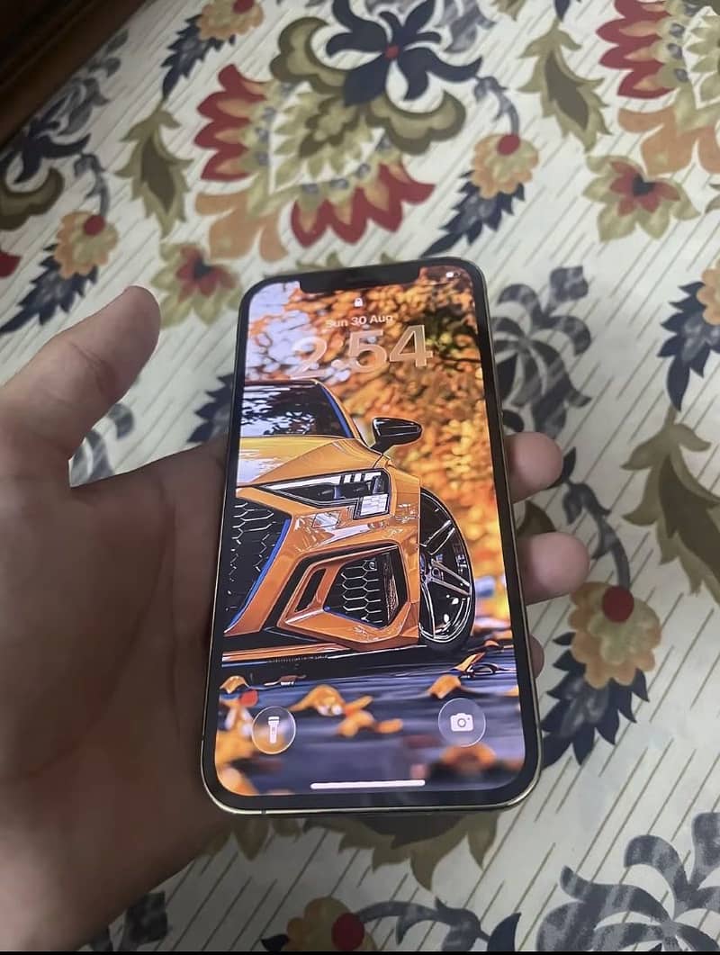 Apple iPhone 12 Pro 1