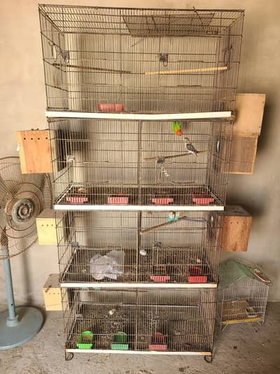 8 portion master cage birds cage