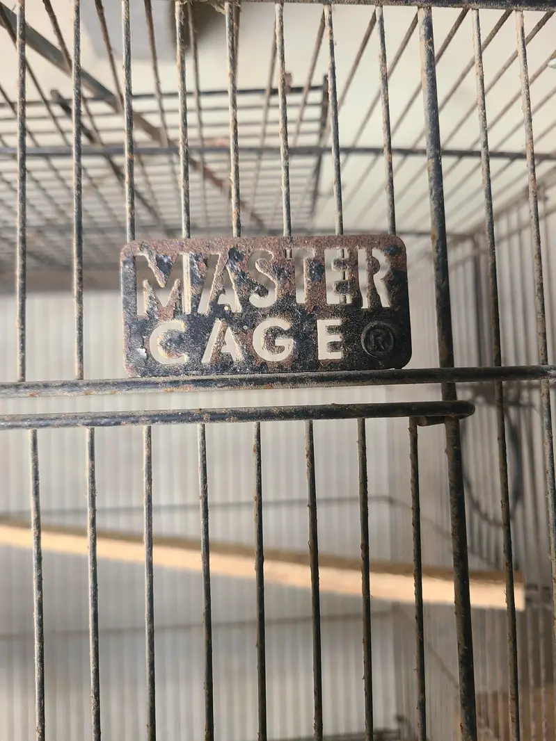 8 portion master cage birds cage — photo 2