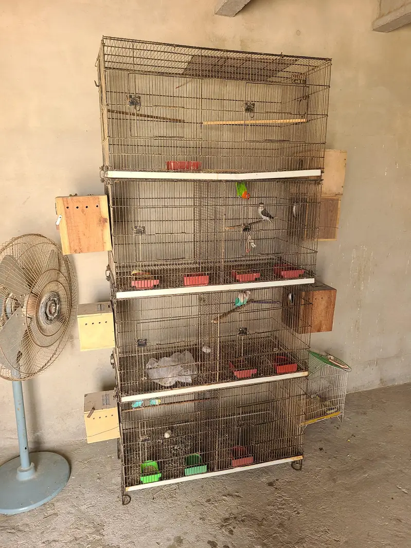 8 portion master cage birds cage — photo 3