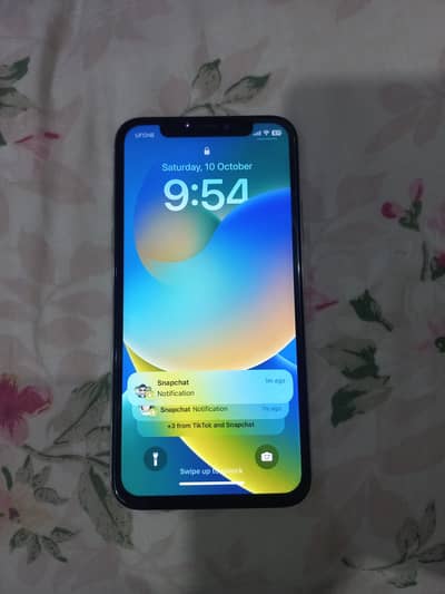 iPhone X pta approved