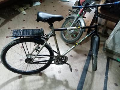 phonix cycle u