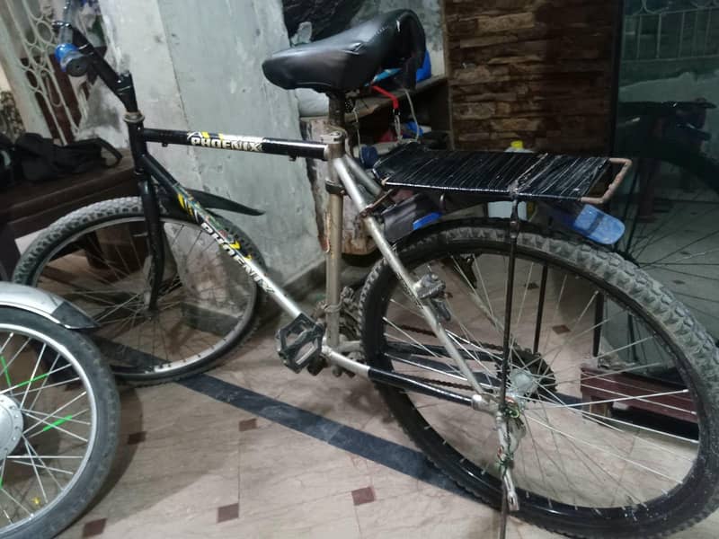 phonix cycle 1