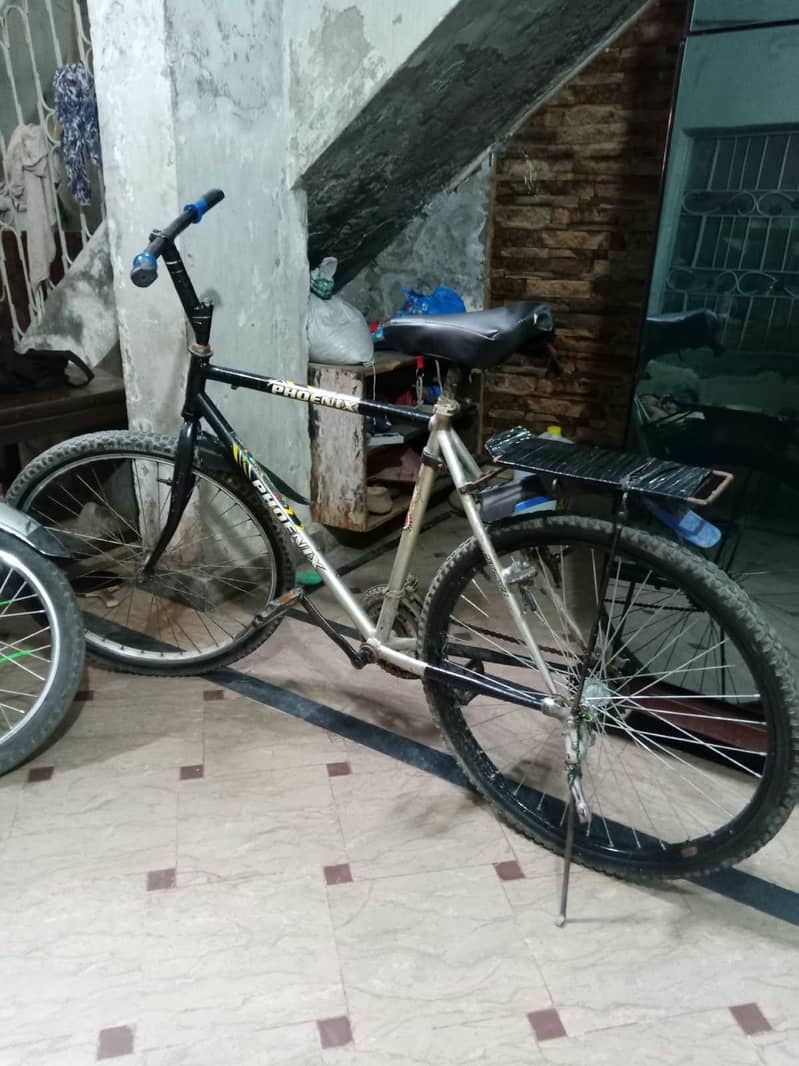 phonix cycle 2