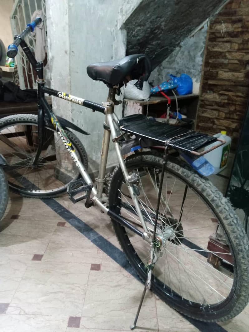 phonix cycle 3