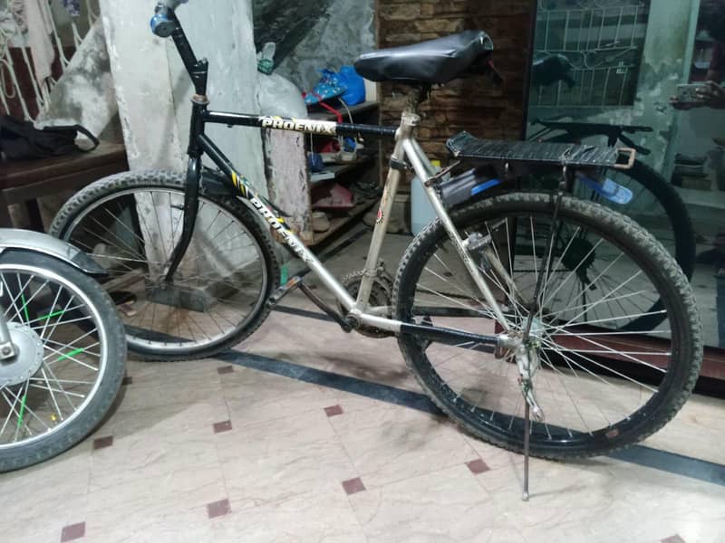 phonix cycle 4