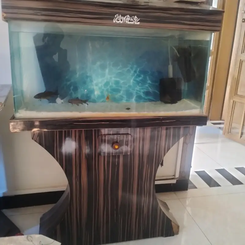 3 feet Aquarium with  Fishes — photo 2