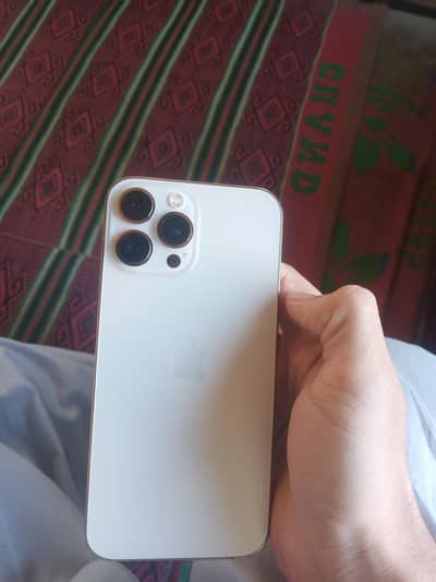 Apple iPhone 13 Pro Max