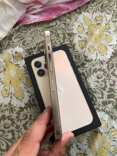 Apple iPhone 13 Pro
