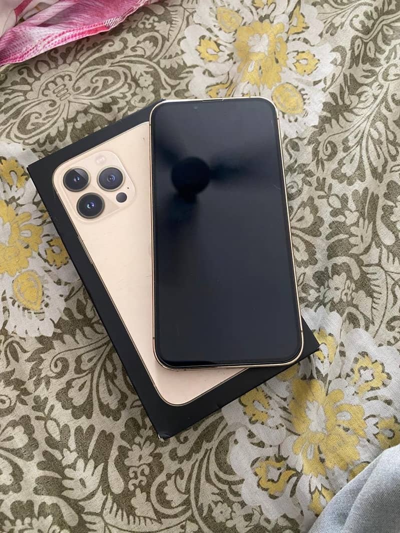 Apple iPhone 13 Pro 2