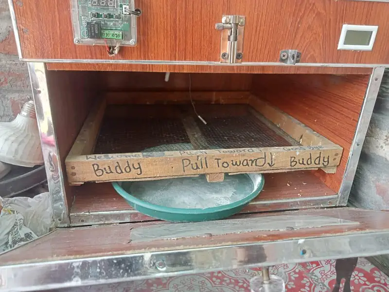 Egg incubator For sale — photo 3