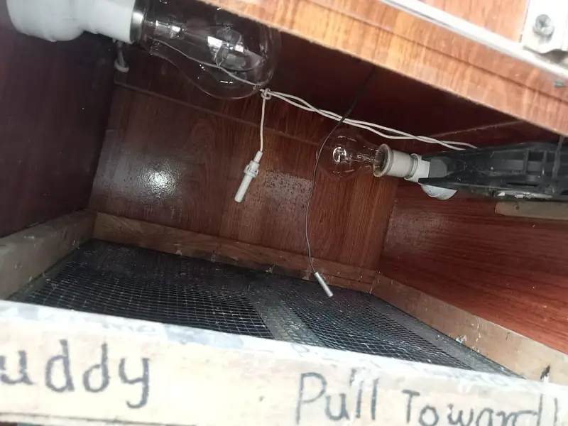 Egg incubator For sale — photo 4