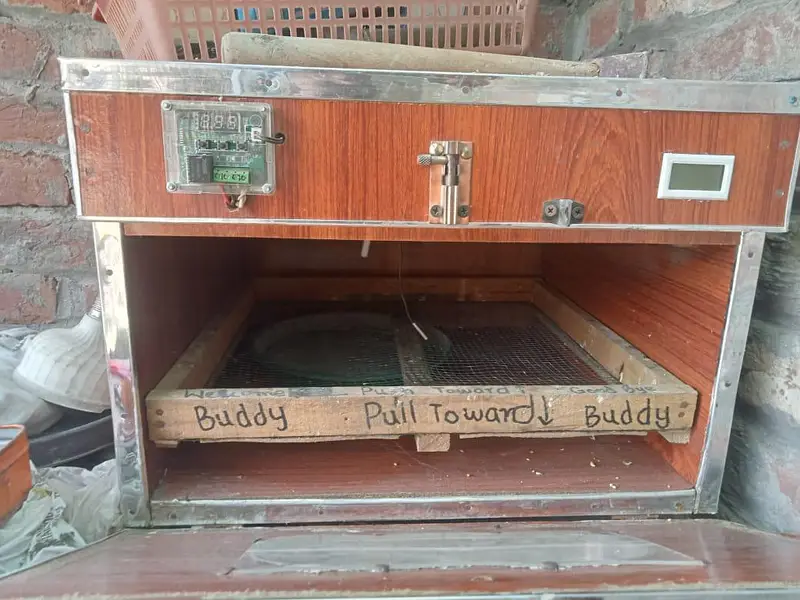 Egg incubator For sale — photo 5