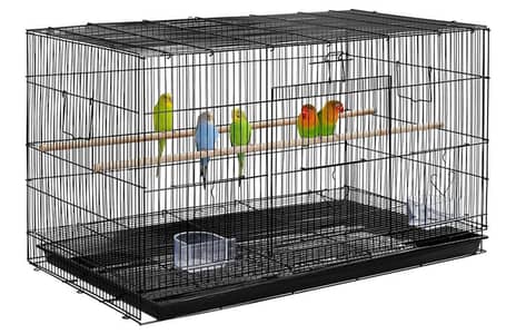 Budgies & Red  Albino