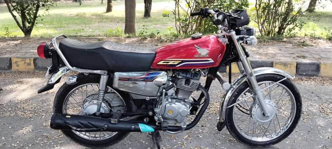 2023 model all original special odican salf stat