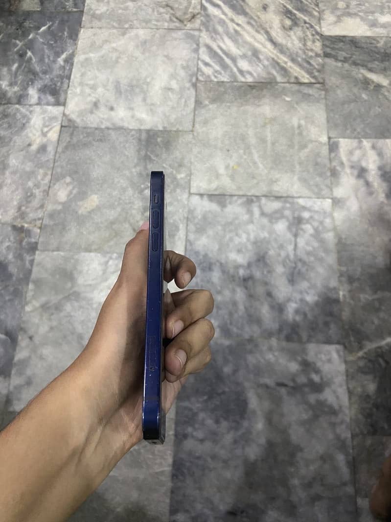 Apple iPhone 12 1