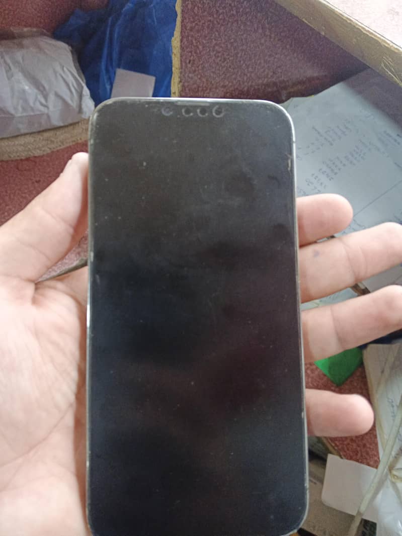 Apple iPhone 13 Pro Max 1
