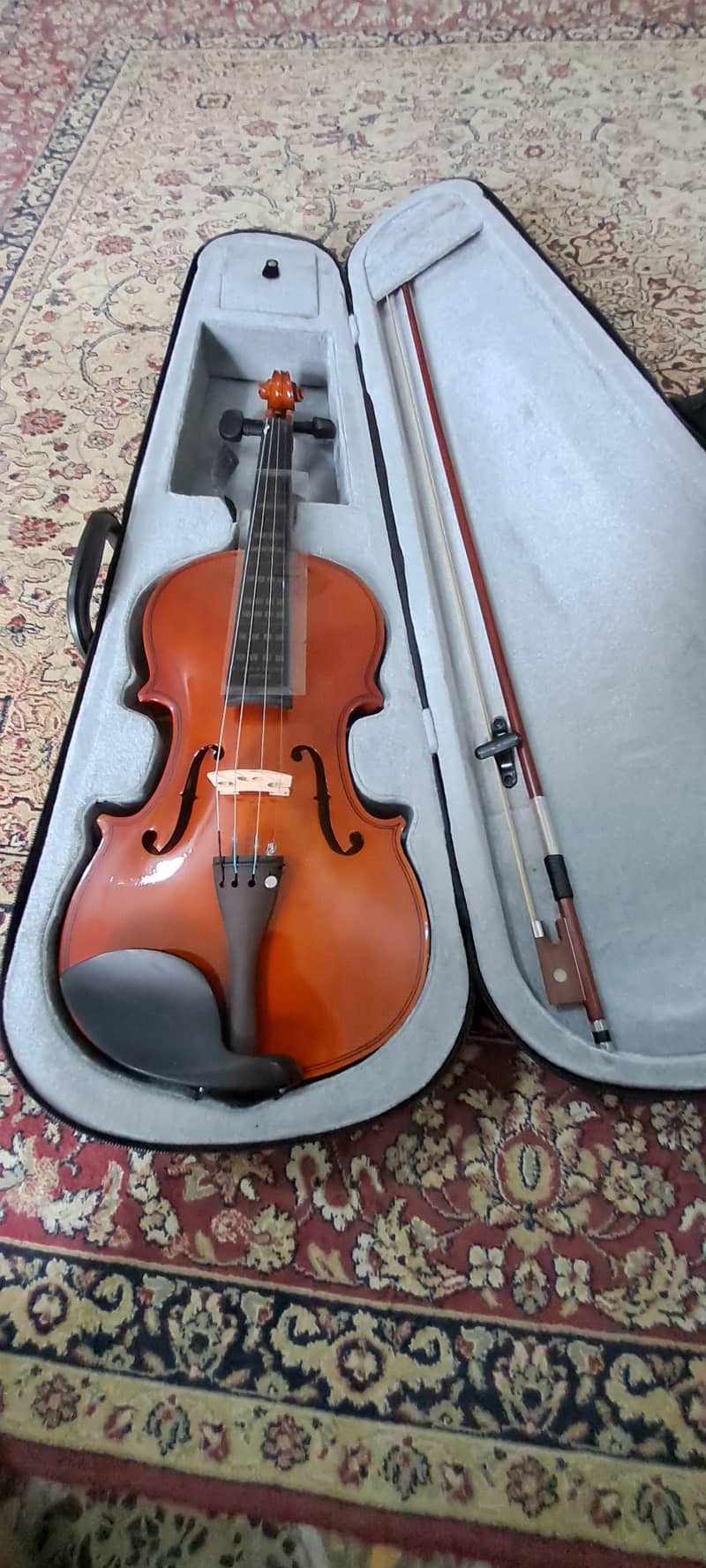 violins 2